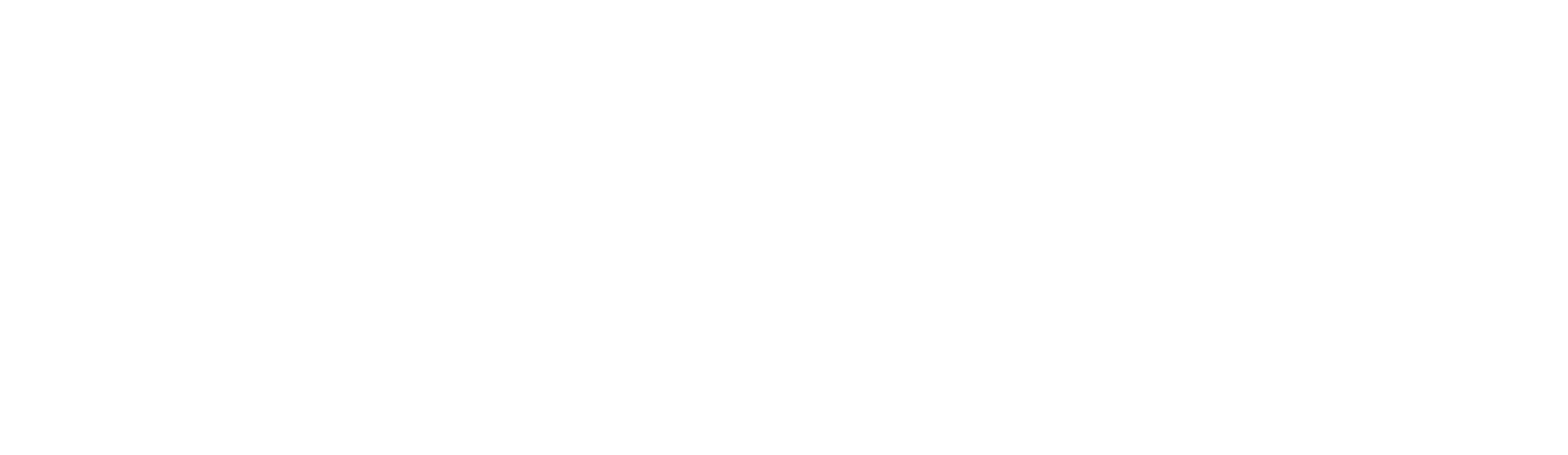 3DS_2020_3DX WORKS_LOGO_WHITE_RGB_NOV