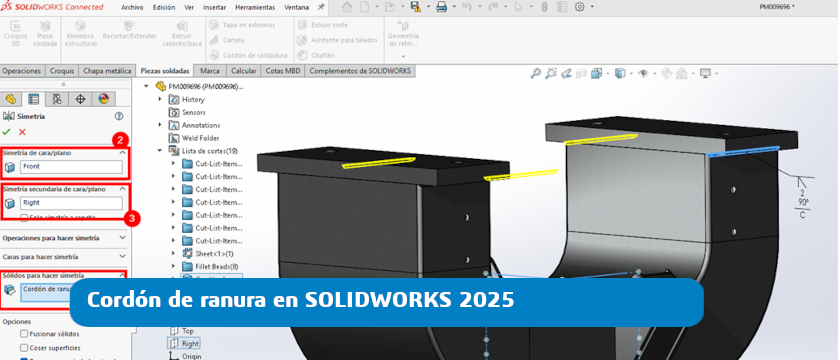 CORDON RANURA SOLIDWORKS 2025