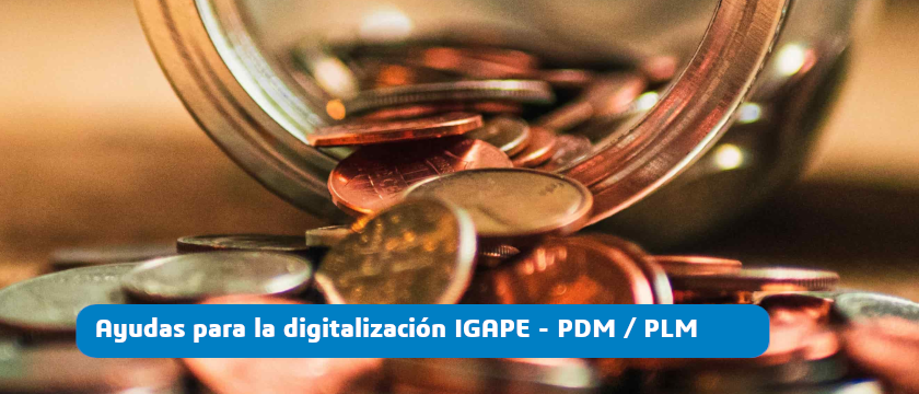 ayudas digitalización igape