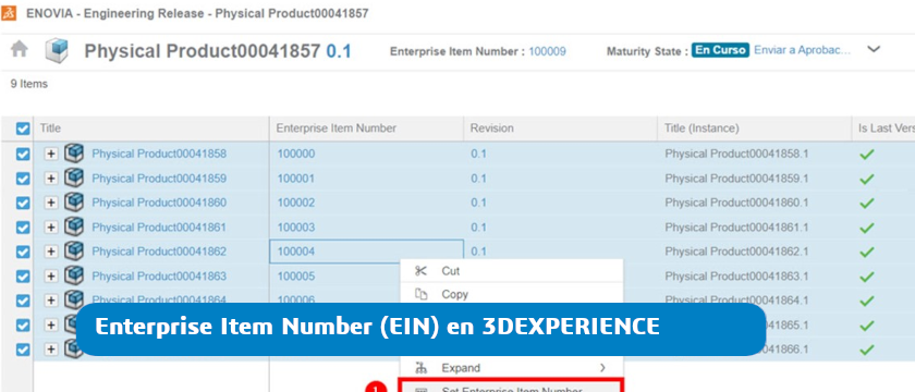 Enterprise item number en 3dexperience