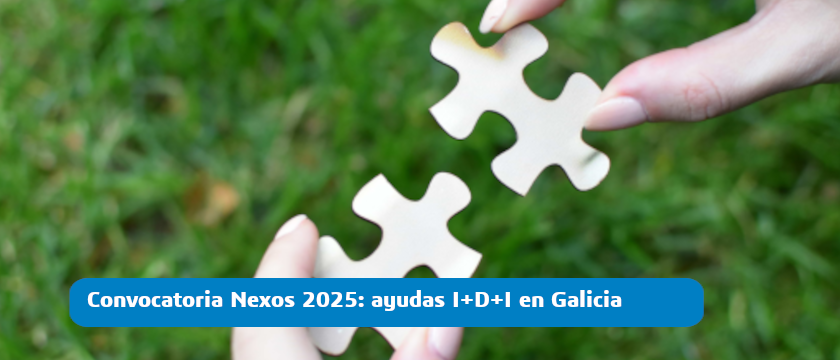 nexos ayudas galicia