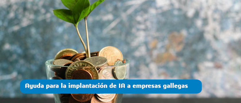 ayuda ia empresas gallegas